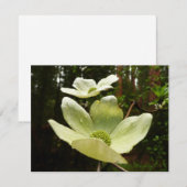 ヨセミテ国立公園のドッグウッズとレッドウッズ (正面/裏面)