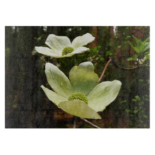 ヨセミテ国立公園のドッグウッズとレッドウッズ カッティングボード (正面)