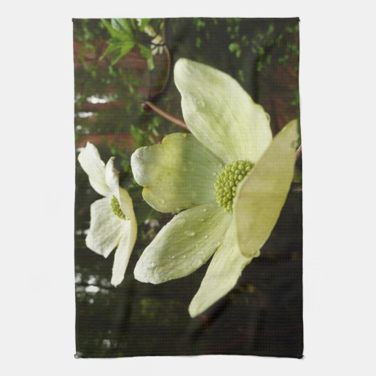 ヨセミテ国立公園のドッグウッズとレッドウッズ キッチンタオル (縦)