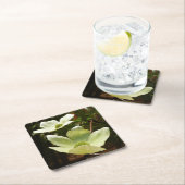 ヨセミテ国立公園のドッグウッズとレッドウッズ スクエアペーパーコースター (インサイチュ)