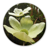 ヨセミテ国立公園のドッグウッズとレッドウッズ セラミックノブ (正面)