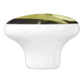 ヨセミテ国立公園のドッグウッズとレッドウッズ セラミックノブ (側面)