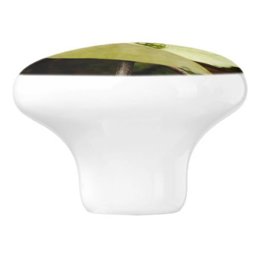 ヨセミテ国立公園のドッグウッズとレッドウッズ セラミックノブ (側面)