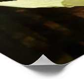 ヨセミテ国立公園のドッグウッズとレッドウッズ ポスター (角)