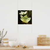 ヨセミテ国立公園のドッグウッズとレッドウッズ ポスター (キッチン)