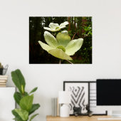 ヨセミテ国立公園のドッグウッズとレッドウッズ ポスター (ホームオフィス)