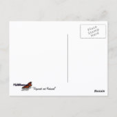 ヨセミテ国立公園のドッグウッズとレッドウッズ ポストカード (裏面)