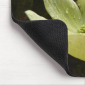 ヨセミテ国立公園のドッグウッズとレッドウッズ マウスパッド (コーナー)