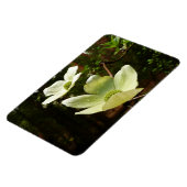 ヨセミテ国立公園のドッグウッズとレッドウッズ マグネット (左側)