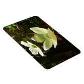 ヨセミテ国立公園のドッグウッズとレッドウッズ マグネット (右側)