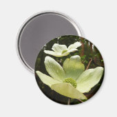 ヨセミテ国立公園のドッグウッズとレッドウッズ マグネット (正面/裏面)