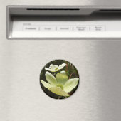 ヨセミテ国立公園のドッグウッズとレッドウッズ マグネット (インサイチュ (食洗機))