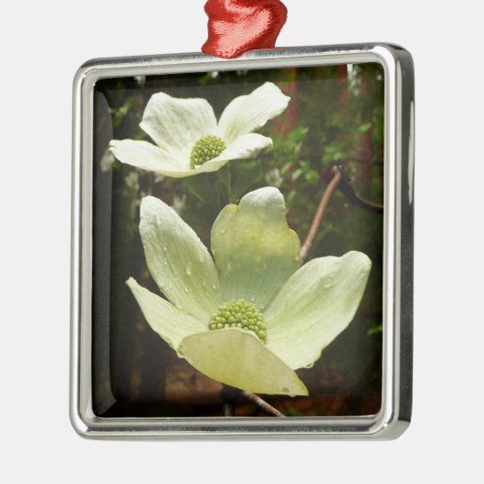 ヨセミテ国立公園のドッグウッズとレッドウッズ メタルオーナメント (左)