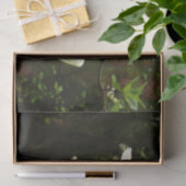 ヨセミテ国立公園のドッグウッズとレッドウッズ 薄葉紙 (ギフト)