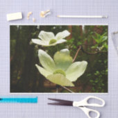 ヨセミテ国立公園のドッグウッズとレッドウッズ 薄葉紙 (クラフト)