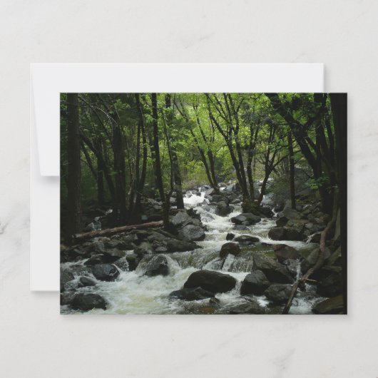 ヨセミテ国立公園のブリダルヴェイルクリーク (正面)