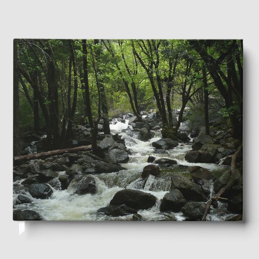 ヨセミテ国立公園のブリダルヴェイルクリーク ゲストブック (正面)