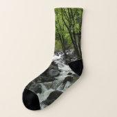 ヨセミテ国立公園のブリダルヴェイルクリーク ソックス (左外側)