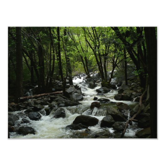 ヨセミテ国立公園のブリダルヴェイルクリーク フォトプリント            (正面)