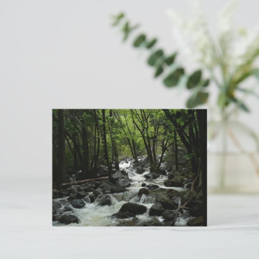 ヨセミテ国立公園のブリダルヴェイルクリーク ポストカード (スタンド正面)