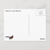 ヨセミテ国立公園のブリダルヴェイルクリーク ポストカード (裏面)