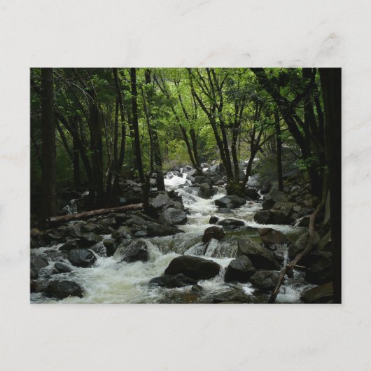 ヨセミテ国立公園のブリダルヴェイルクリーク ポストカード (正面)