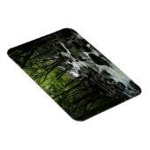 ヨセミテ国立公園のブリダルヴェイルクリーク マグネット (右側)