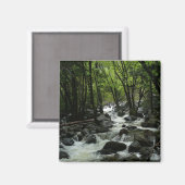 ヨセミテ国立公園のブリダルヴェイルクリーク マグネット (正面/裏面)