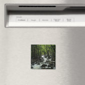 ヨセミテ国立公園のブリダルヴェイルクリーク マグネット (インサイチュ (食洗機))