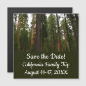 ヨセミテ国立公園のマリポサグローブ (正面/裏面)