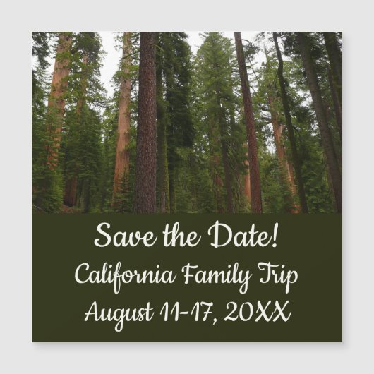 ヨセミテ国立公園のマリポサグローブ (正面)