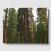 ヨセミテ国立公園のマリポサグローブ ゲストブック (裏面)