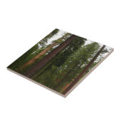 ヨセミテ国立公園のマリポサグローブ タイル (側面)