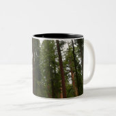 ヨセミテ国立公園のマリポサグローブ ツートーンマグカップ (正面右)