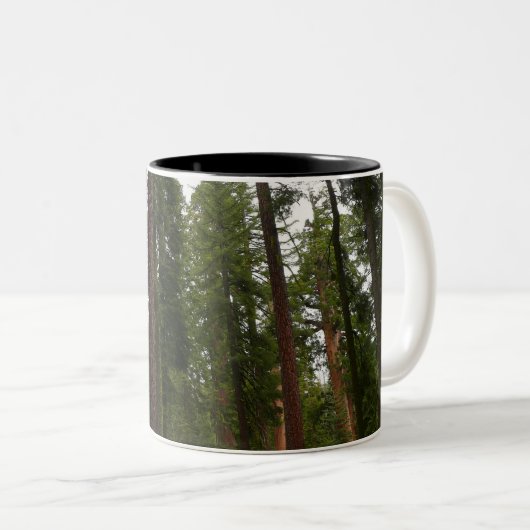 ヨセミテ国立公園のマリポサグローブ ツートーンマグカップ (正面右)