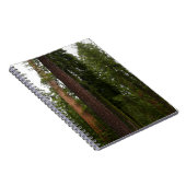 ヨセミテ国立公園のマリポサグローブ ノートブック (右側)