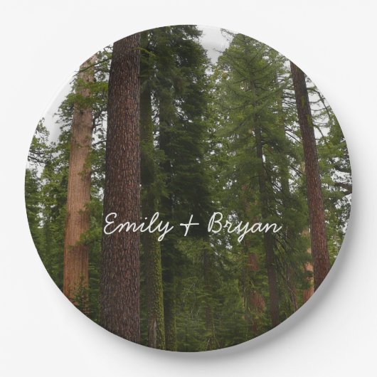 ヨセミテ国立公園のマリポサグローブ ペーパープレート (正面)