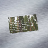 ヨセミテ国立公園のマリポサグローブ マグネット名刺 (インサイチュ)