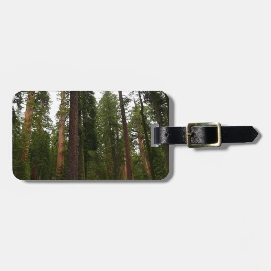 ヨセミテ国立公園のマリポサグローブ ラゲッジタグ (正面横)