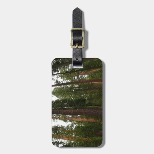 ヨセミテ国立公園のマリポサグローブ ラゲッジタグ (正面縦)