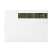 ヨセミテ国立公園のマリポサグローブ ラップアラウンドラベル (裏面)