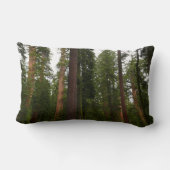 ヨセミテ国立公園のマリポサグローブ ランバークッション (裏面)