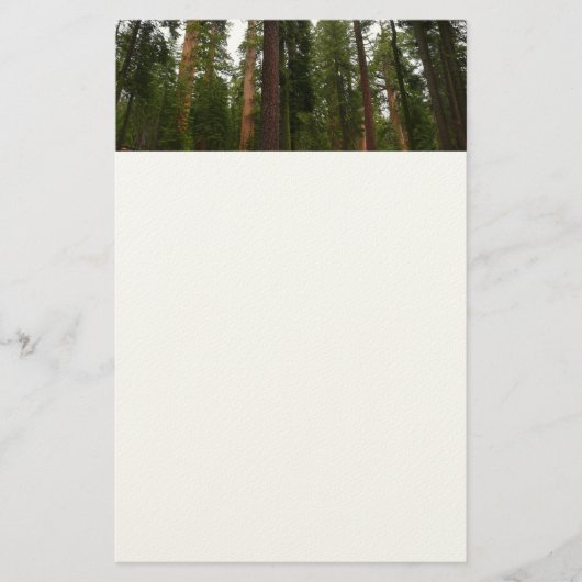 ヨセミテ国立公園のマリポサグローブ 便箋 (正面)