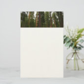 ヨセミテ国立公園のマリポサグローブ 便箋 (スタンド正面)