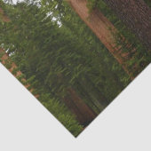 ヨセミテ国立公園のマリポサグローブ 薄葉紙 (詳細)