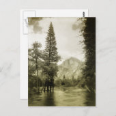 ヨセミテ国立公園のヴィンテージ画像 ポストカード (正面/裏面)