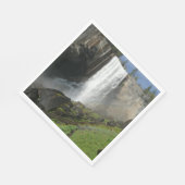 ヨセミテ国立公園のヴェルナル滝I スタンダードランチョンナプキン (角)