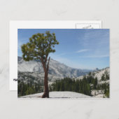 ヨセミテ国立公園のOlmsted Point I ポストカード (正面/裏面)