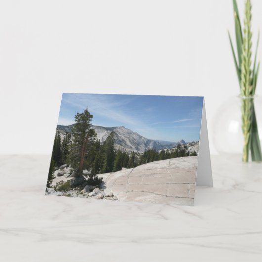 ヨセミテ国立公園のOLMSTED POINT II カード (正面)