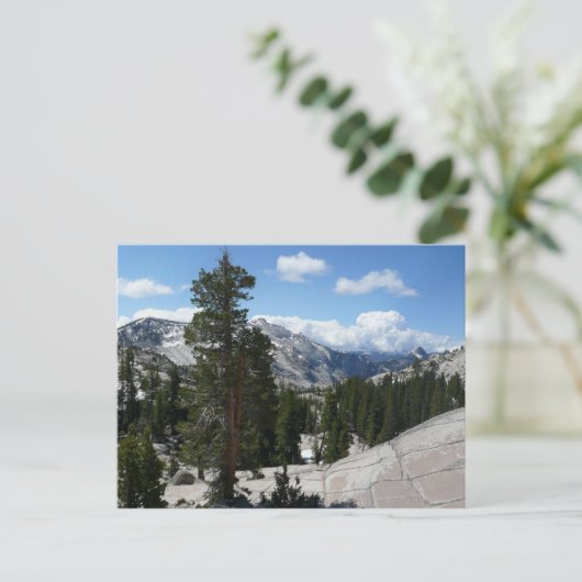 ヨセミテ国立公園のOLMSTED POINT III ポストカード (スタンド正面)